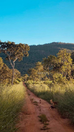 Imagem Chácara à Venda, 48.400 m² em Zona Rural - Pirenópolis Imagem Chácara à Venda, 48.400 m² em Zona Rural - Pirenópolis
