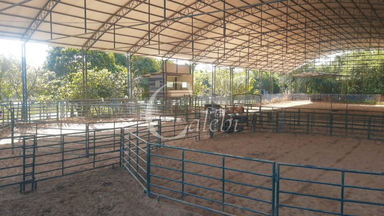 Imagem Chácara com 5 Quartos à Venda, 3 m² em Varginha - Santo Antônio De Posse