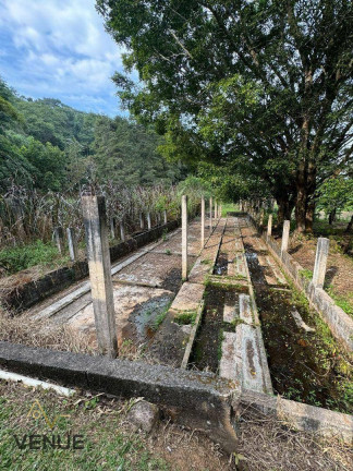 Imagem Chácara com 5 Quartos à Venda, 500 m² em Parque Santa Tereza - Santa Isabel Imagem Chácara com 5 Quartos à Venda, 500 m² em Parque Santa Tereza - Santa Isabel