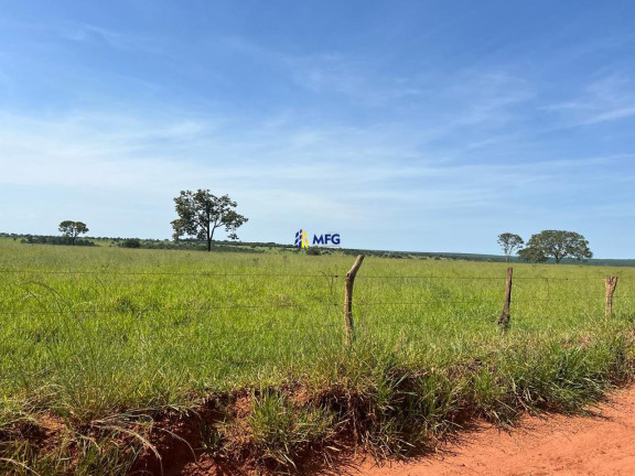 Imagem Chácara à Venda, em área Rural De Uberlândia - Uberlândia Imagem Chácara à Venda, em área Rural De Uberlândia - Uberlândia