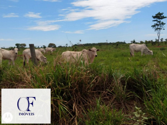 Imagem Fazenda à Venda, 3.097 m² em Rural - Chapadão Do Sul Imagem Fazenda à Venda, 3.097 m² em Rural - Chapadão Do Sul