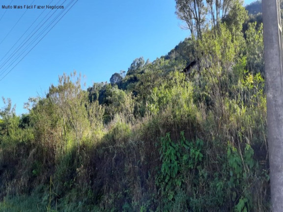 Terreno à Venda, 385 m² em Pinhal Alto - Nova Petrópolis