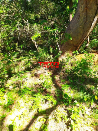 Imagem Imóvel à Venda, 700 m² em 3 Km Margeando Rio São Francisco - Três Marias Imagem Imóvel à Venda, 700 m² em 3 Km Margeando Rio São Francisco - Três Marias