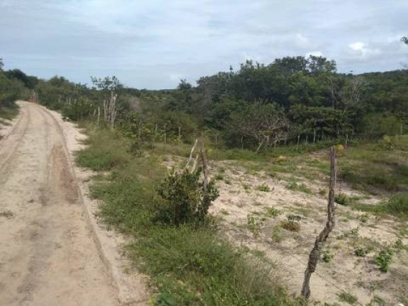 Imagem Terreno à Venda, 5 m² em Tibau Do Sul