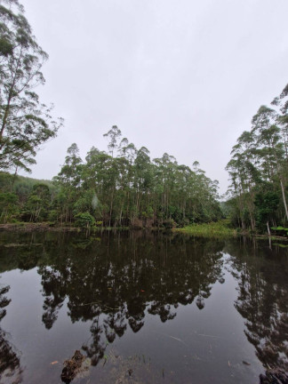 Imagem Chácara com 2 Quartos à Venda, 36.500 m² em Rio Bonito - Tapiraí Imagem Chácara com 2 Quartos à Venda, 36.500 m² em Rio Bonito - Tapiraí