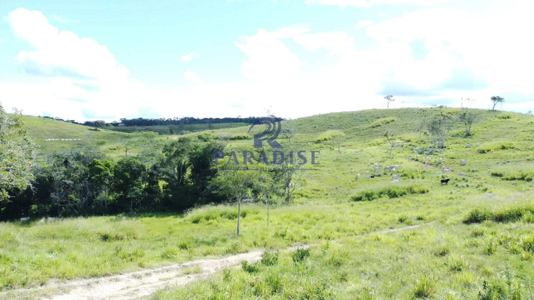 Imagem Fazenda à Venda, 9.750.000 m² em Zona Rural - Itanagra