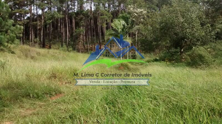 Imagem Chácara com 4 Quartos à Venda, 418.000 m² em Marmelo - Mairiporã Imagem Chácara com 4 Quartos à Venda, 418.000 m² em Marmelo - Mairiporã