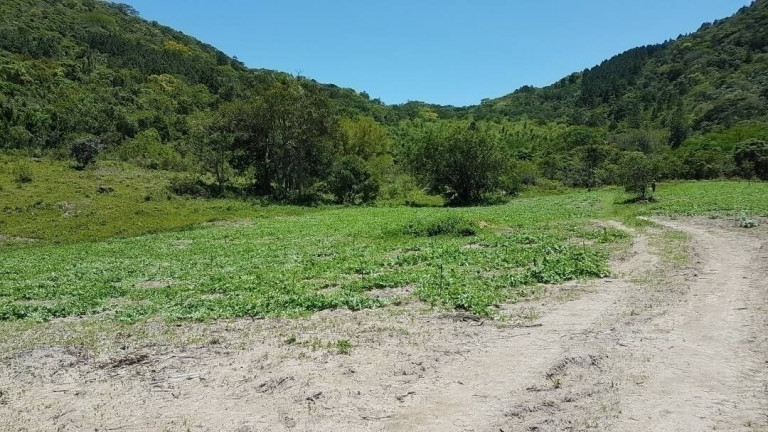 Imagem Fazenda à Venda, 80 m² em São João Do Rio Vermelho - Florianópolis Imagem Fazenda à Venda, 80 m² em São João Do Rio Vermelho - Florianópolis