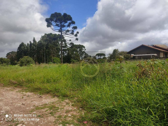 Imagem Terreno à Venda, 5.544 m² em Umbará - Curitiba Imagem Terreno à Venda, 5.544 m² em Umbará - Curitiba