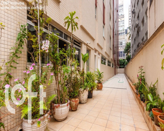 Imagem Apartamento com 4 Quartos à Venda, 286 m² em Bela Vista - São Paulo Imagem Apartamento com 4 Quartos à Venda, 286 m² em Bela Vista - São Paulo