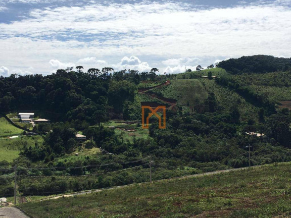 Imagem Chácara à Venda, 1.000 m² em Tijuco Preto - Maria Da Fé Imagem Chácara à Venda, 1.000 m² em Tijuco Preto - Maria Da Fé