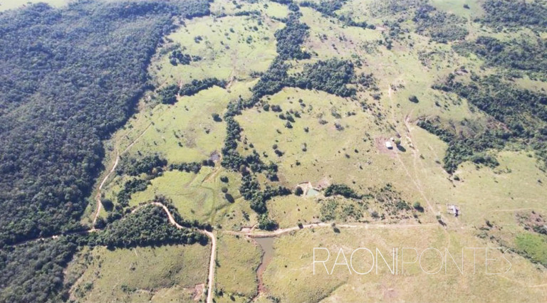 Imagem Fazenda à Venda, 4.300.000 m² em Centro - Pimenta Bueno Imagem Fazenda à Venda, 4.300.000 m² em Centro - Pimenta Bueno