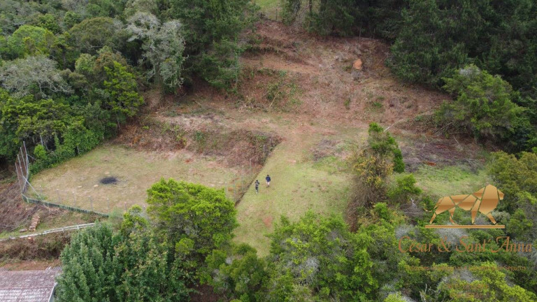Imagem Terreno à Venda, 6.500 m² em Alto Da Vila Inglesa - Campos Do Jordão Imagem Terreno à Venda, 6.500 m² em Alto Da Vila Inglesa - Campos Do Jordão
