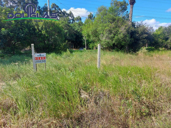 Imagem Terreno à Venda, 1.000 m² em Viamão Imagem Terreno à Venda, 1.000 m² em Viamão