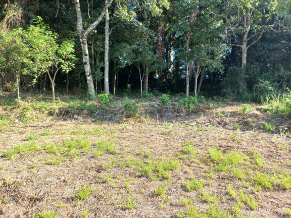 Terreno à Venda, 420 m² em Esmeralda - Santa Cruz Do Sul