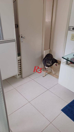 Imagem Casa com 4 Quartos à Venda, 300 m² em Jabaquara - Santos