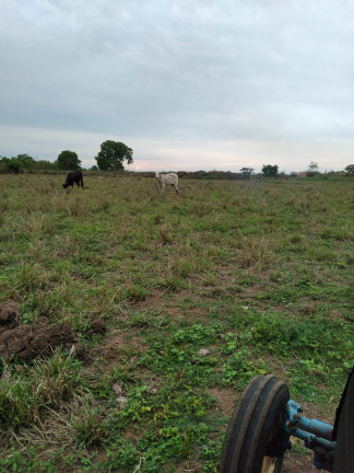 Imagem Fazenda à Venda, 1.100 m² em Zona Rural - Jangada
