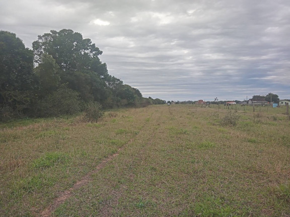 Imagem Chácara com 2 Quartos à Venda, 20.000 m² em águas Claras - Viamão
