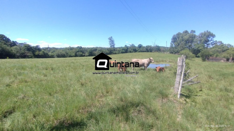 Imagem Imóvel com 2 Quartos à Venda, 50.000 m² em Capela Da Buena - Morro Redondo