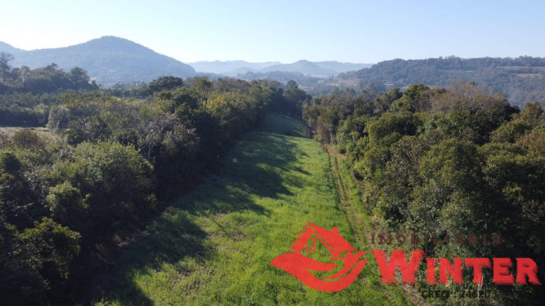 Imagem Chácara à Venda, 8.837 m² em Bom Princípio Imagem Chácara à Venda, 8.837 m² em Bom Princípio