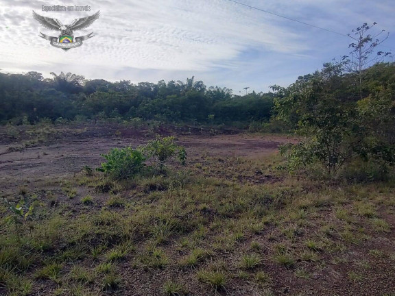 Imagem Fazenda à Venda, em Marapanim Imagem Fazenda à Venda, em Marapanim