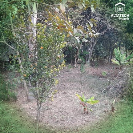 Imagem Imóvel com 2 Quartos à Venda, 1.100 m² em Rio Pardo - Bandeira Do Sul Imagem Imóvel com 2 Quartos à Venda, 1.100 m² em Rio Pardo - Bandeira Do Sul