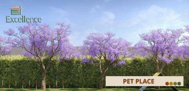 Imagem Apartamento com 3 Quartos à Venda, 74 m² em Planalto - São Bernardo Do Campo Imagem Apartamento com 3 Quartos à Venda, 74 m² em Planalto - São Bernardo Do Campo