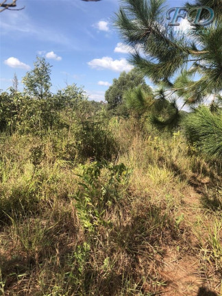 Imagem Terreno à Venda, 61.861 m² em Terra Preta (terra Preta) - Mairiporã Imagem Terreno à Venda, 61.861 m² em Terra Preta (terra Preta) - Mairiporã