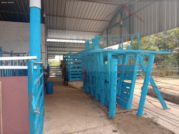 Imagem Fazenda à Venda, 98 m² em Esmeraldas Imagem Fazenda à Venda, 98 m² em Esmeraldas