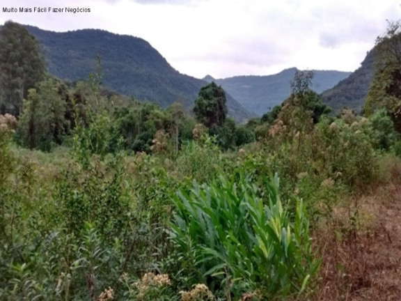 Imagem Terreno à Venda, 4 m² em São José Do Caí - Nova Petrópolis Imagem Terreno à Venda, 4 m² em São José Do Caí - Nova Petrópolis