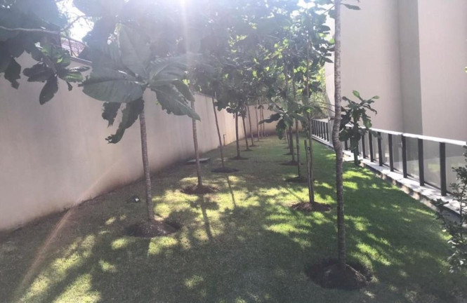 Imagem Apartamento com 2 Quartos à Venda, 80 m² em Morumbi - São Paulo Imagem Apartamento com 2 Quartos à Venda, 80 m² em Morumbi - São Paulo