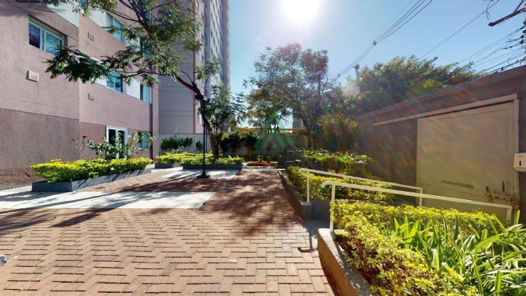 Imagem Apartamento com 1 Quarto à Venda, 33 m² em Cambuci - São Paulo Imagem Apartamento com 1 Quarto à Venda, 33 m² em Cambuci - São Paulo