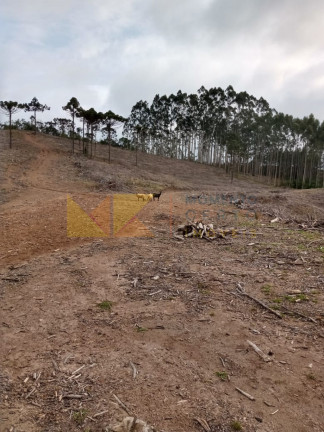 Imagem Fazenda à Venda, 59.000 m² em Alto Cedros - Rio Dos Cedros