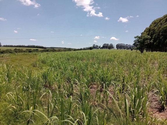 Imagem Imóvel à Venda, 25 m² em área Rural De Pratânia - Pratânia