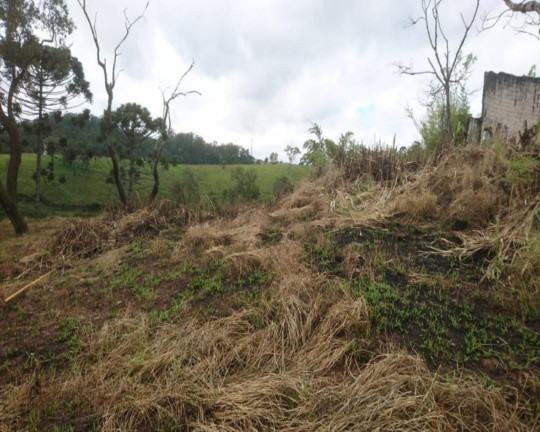 Imagem Terreno à Venda, 12.750 m² em Potuverá - Itapecerica Da Serra Imagem Terreno à Venda, 12.750 m² em Potuverá - Itapecerica Da Serra