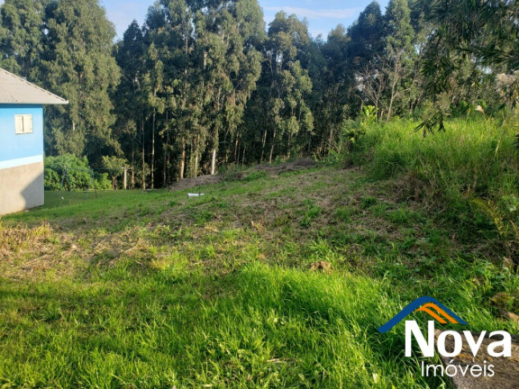 Imagem Imóvel à Venda, 450 m² em Br116 - Nova Petrópolis