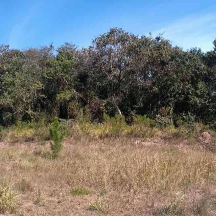 Terreno à Venda, 1.300 m² em Centro - Jarinu