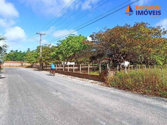 Imagem Chácara à Venda, 15 m² em Tijucussú - Cascavel Imagem Chácara à Venda, 15 m² em Tijucussú - Cascavel