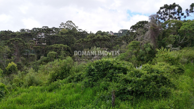 Imagem Terreno à Venda, 1.590 m² em Região De Capivari - Campos Do Jordão