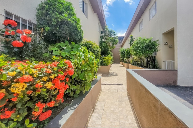 Imagem Casa de Condomínio com 2 Quartos à Venda, 90 m² em Vila Santa Clara - São Paulo Imagem Casa de Condomínio com 2 Quartos à Venda, 90 m² em Vila Santa Clara - São Paulo
