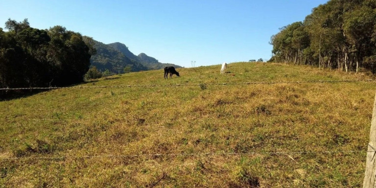 Terreno à Venda,  em Ferrari - Campo Largo
