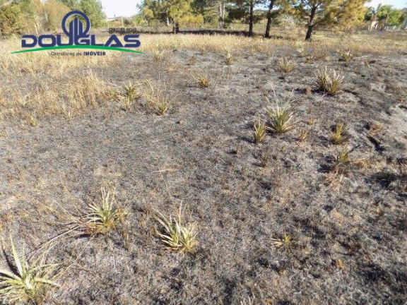 Imagem Terreno à Venda, 853 m² em Viamão