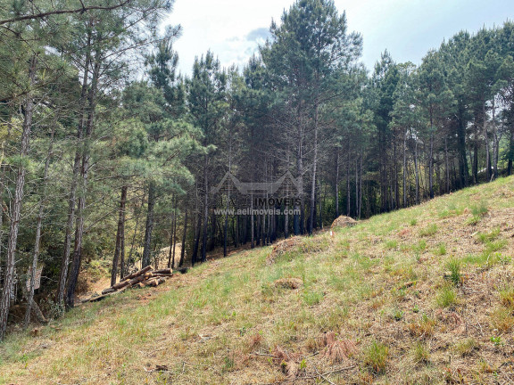 Imagem Terreno à Venda, 1 m² em Vale Encantado - Campos Do Jordão Imagem Terreno à Venda, 1 m² em Vale Encantado - Campos Do Jordão
