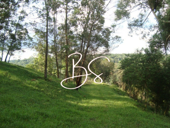 Imagem Terreno à Venda, 50.000 m² em Linha Bonita - Gramado Imagem Terreno à Venda, 50.000 m² em Linha Bonita - Gramado