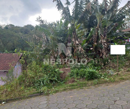 Imagem Terreno à Venda, em Fidélis - Blumenau Imagem Terreno à Venda, em Fidélis - Blumenau