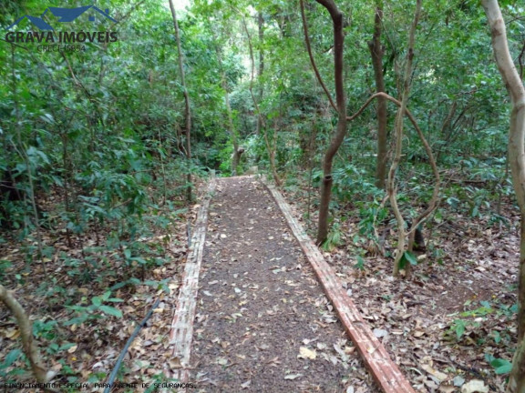 Imagem Chácara com 2 Quartos à Venda, 14.000 m² em Estrada Santa Fe - Marialva