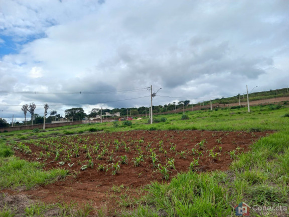 Imagem Terreno à Venda, 364 m² em Alto Dos Caiçaras - Patos De Minas Imagem Terreno à Venda, 364 m² em Alto Dos Caiçaras - Patos De Minas
