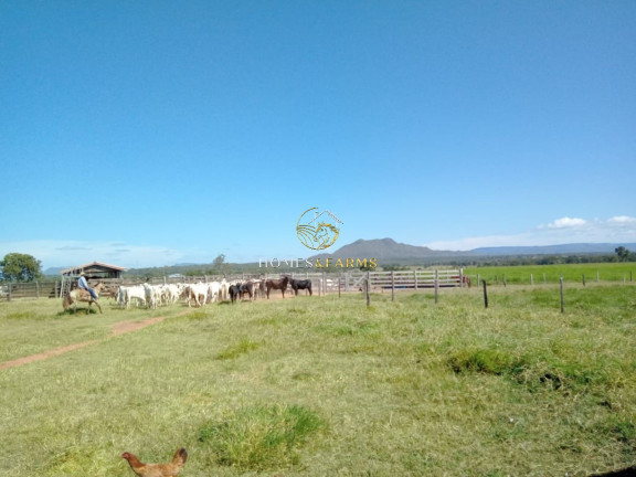 Imagem Imóvel com 3 Quartos à Venda, 1.240 m² em Centro - Nobres Imagem Imóvel com 3 Quartos à Venda, 1.240 m² em Centro - Nobres