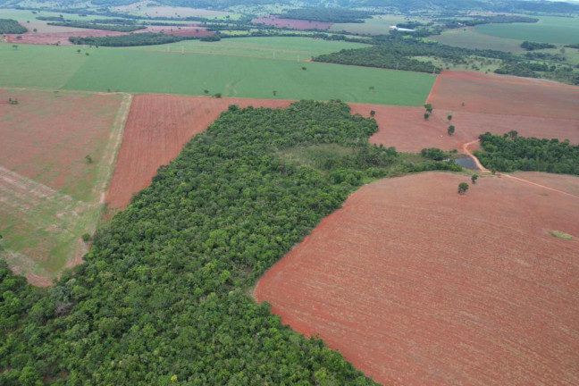 Imagem Fazenda à Venda, 60 m² em Zona Rural - Morrinhos Imagem Fazenda à Venda, 60 m² em Zona Rural - Morrinhos