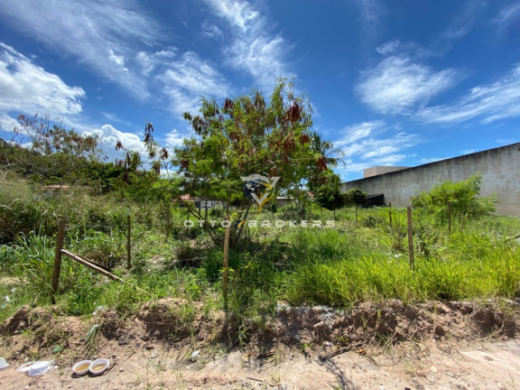 Imagem Terreno à Venda, 200 m² em Nova Cabrália - Santa Cruz Cabrália Imagem Terreno à Venda, 200 m² em Nova Cabrália - Santa Cruz Cabrália